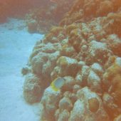  Lighthouse Reef, Belize